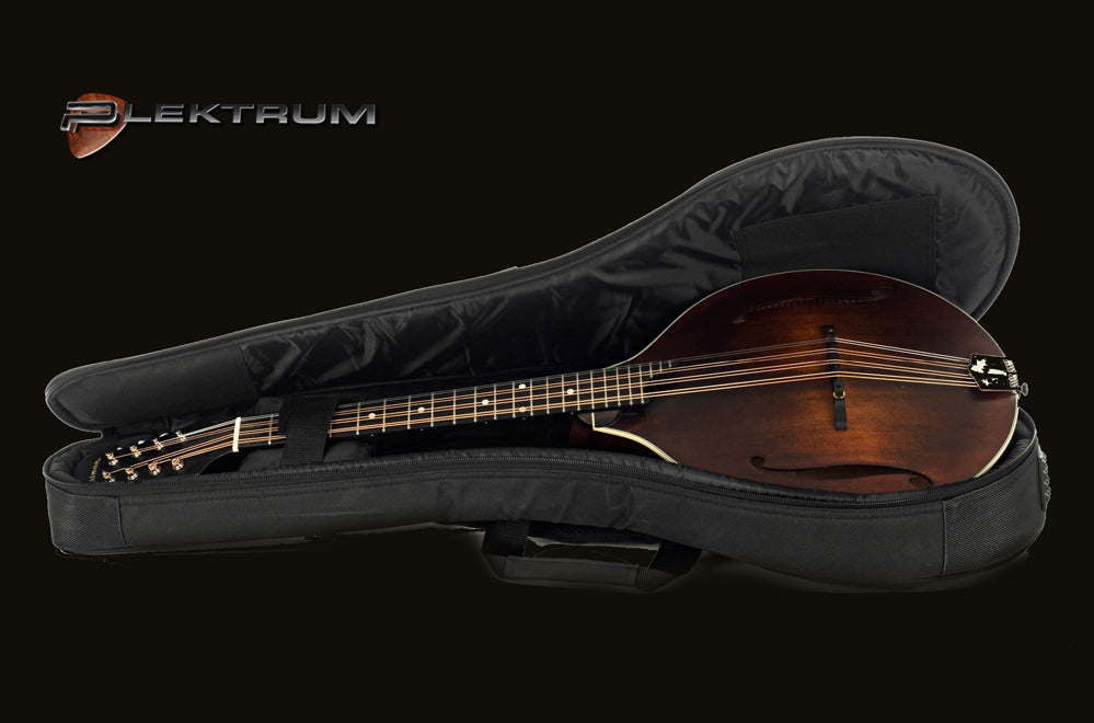 EASTMAN MDO305 oktav Mandolin