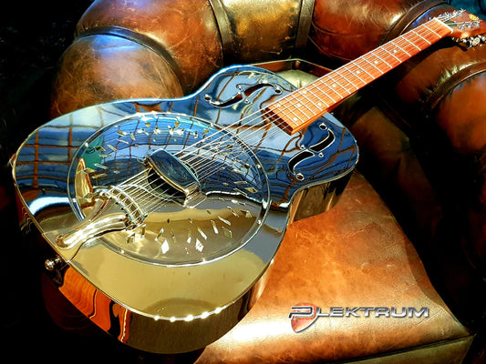 Dobro Resonator guitar - Demo