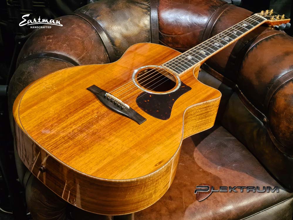 EASTMAN AC622ce i KOA... Desværre Udsolgt