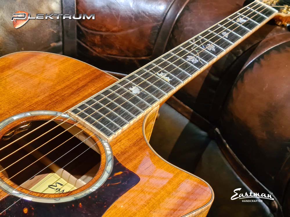 EASTMAN AC622ce i KOA... Desværre Udsolgt