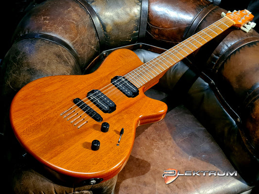 GODIN ELG73 el-guitar