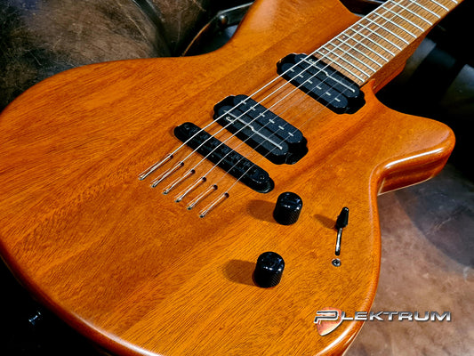 GODIN ELG73 el-guitar