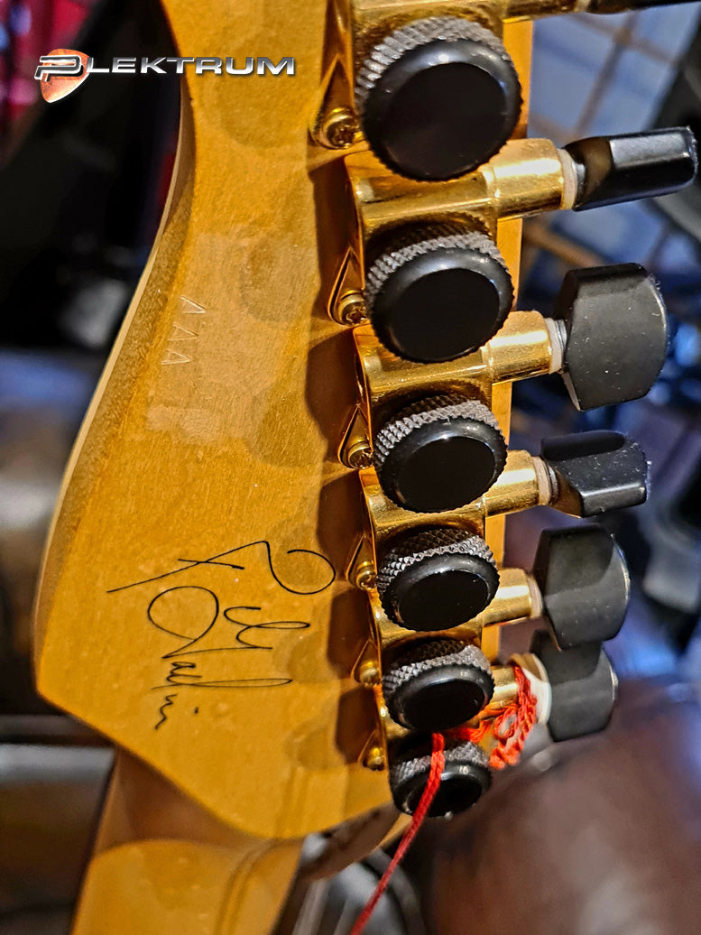 GODIN Artisan ST el-guitar