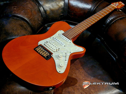 GODIN ELG73urs el-guitar