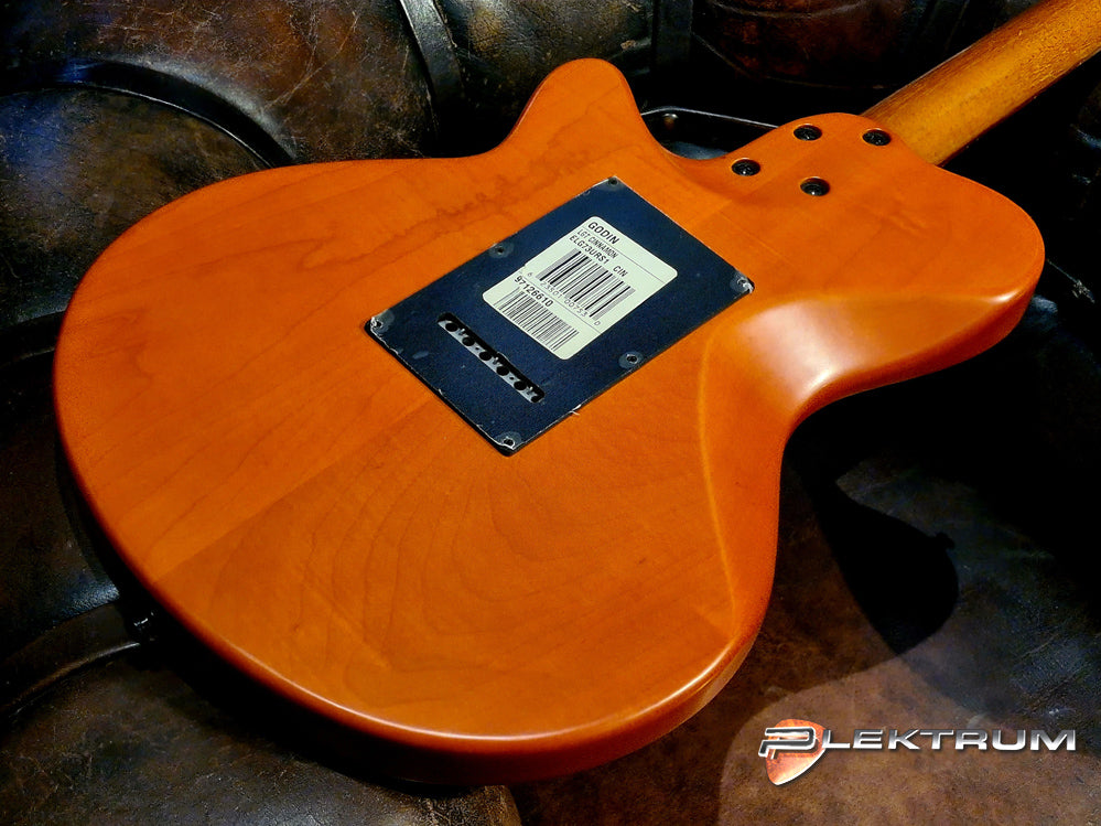 GODIN ELG73urs el-guitar