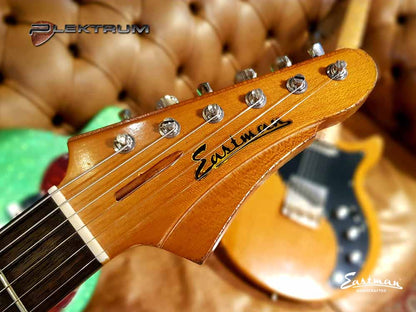 Eastman & Kauffmann MasterBuild el-guitar