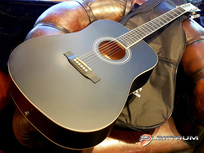SANT western guitar m/etui