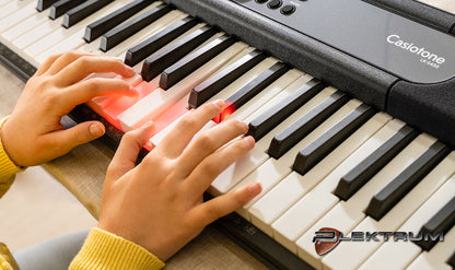 Casio LK-S450 Keyboard