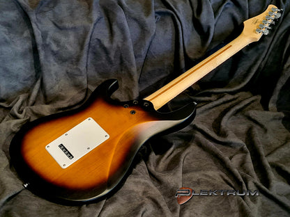 CORT kvalitets begynder El-guitar