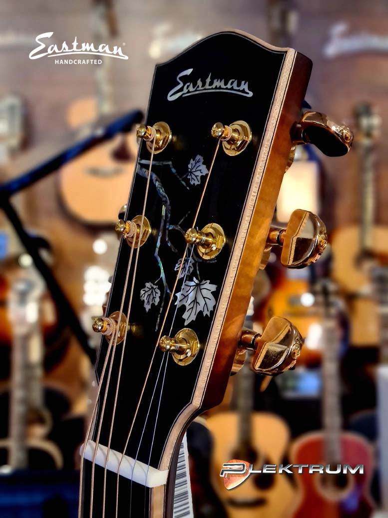 EASTMAN AC622ce-sb western guitar