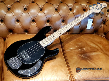 Music Man Sterling Sub STINGRAY bas - Maple neck