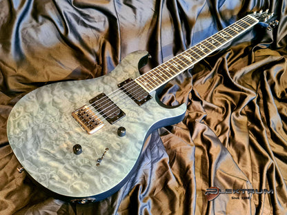 **ON-HOLD** PRS SE Mark Holcomb el-guitar