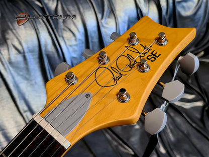 PRS SE Silver Sky - Stone Blue