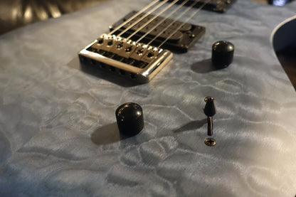 **ON-HOLD** PRS SE Mark Holcomb el-guitar