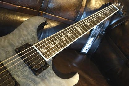 **ON-HOLD** PRS SE Mark Holcomb el-guitar
