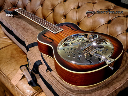 ROYALL Resonator Guitar
