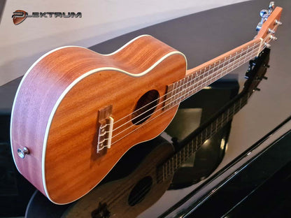 Santana Concert Ukulele