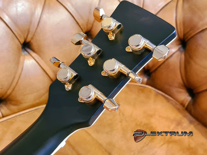 Santana Serpens Standard el-guitar - Demo