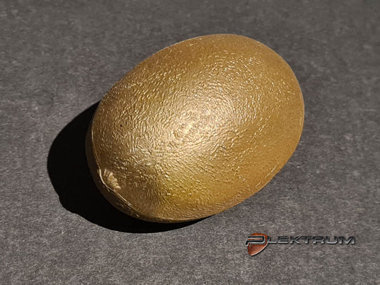 Rythme Shaker - Kiwi