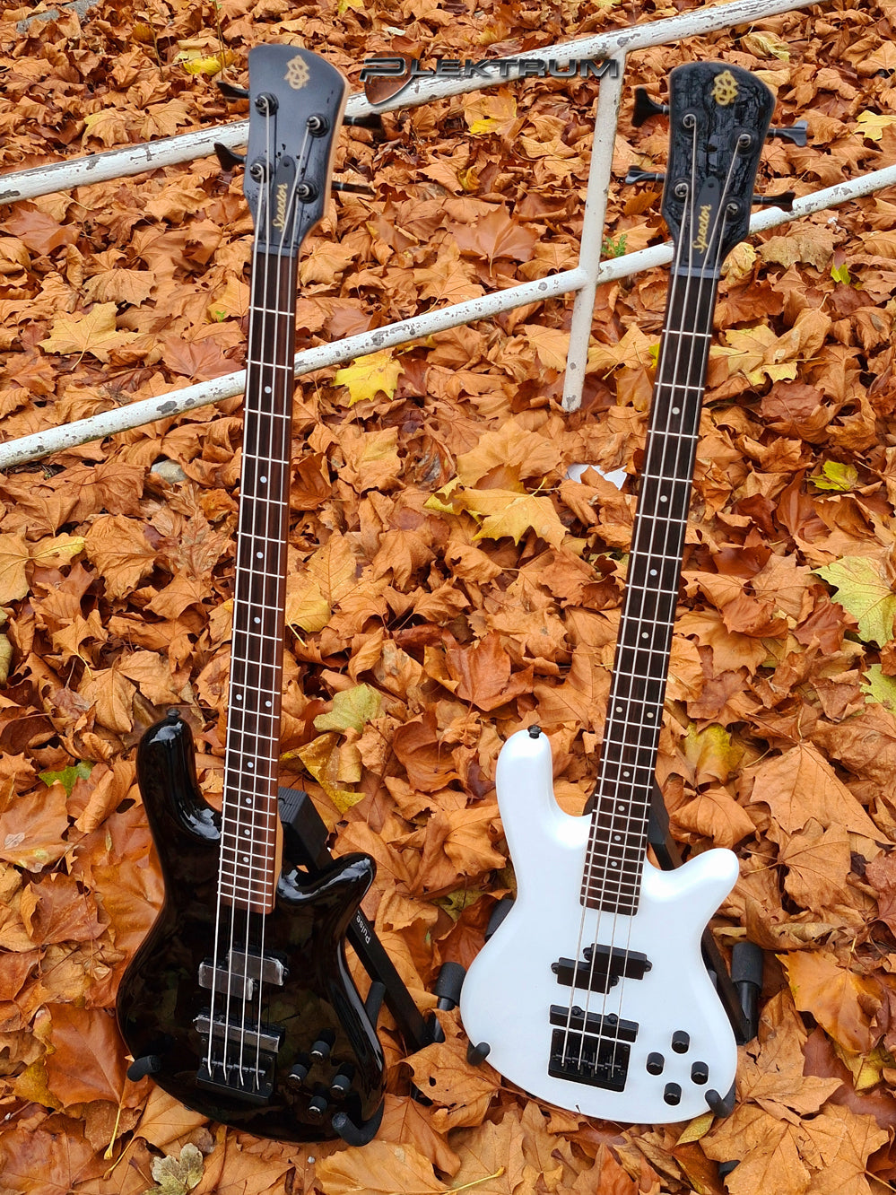 Spector Performer 4 bas - Hvid