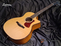 EASTMAN AC222ce-Dlx Western guitar